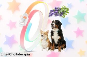 Collar antipulgas y garrapatas que protege a tu perro durante 8 meses. ¡Cupón disponible! Quítale esos bichos molestos por un precio de risa, no te lo pierdas.