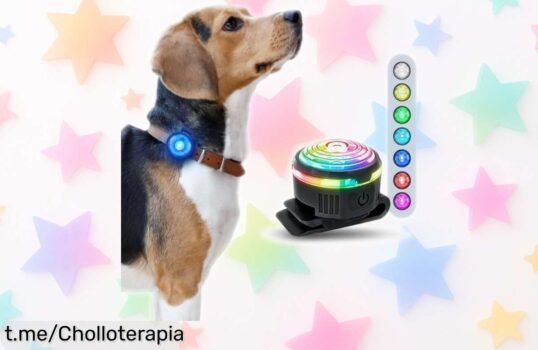 Collar con luz LED ultrabrillante de PAJ, la forma más segura y colorida de pasear a tu peludo: ¡aprovecha este ofertón que iluminará sus noches!