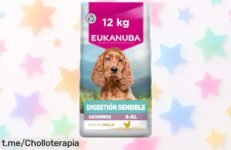 Deliciosa comida seca para cachorros Eukanuba Sensitive Digestion, perfecta para su estómago y desarrollo: ¡consíguela ahora a un precio que no podrás creer!