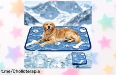 Descubre la alfombra refrescante TOGETDREAM para perros grandes que mantendrá a tu peludo fresquito y protegido, ¡una oportunidad única que no podrás dejar escapar!