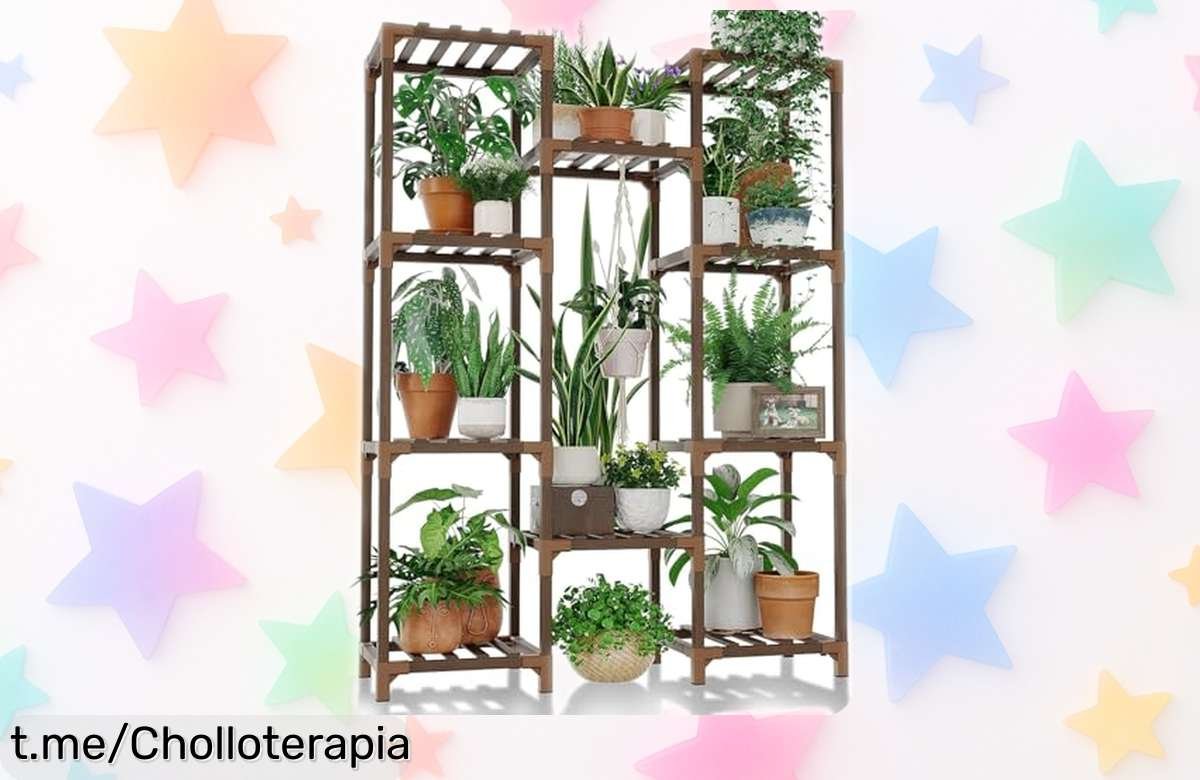 Estantería de madera para plantas Bamworld: ¡organiza hasta 25 macetas a un precio regalado y dale vida a tu hogar antes que se agote!