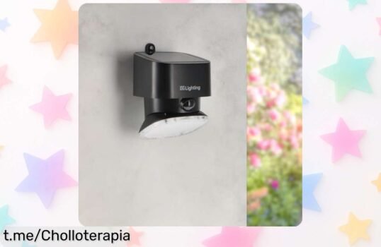 Ilumina tu jardín con la luz solar LED para pared M Ledme Black Flat 1W, un ofertón que despierta sonrisas sin gastar en electricidad. ¡No te lo pierdas!