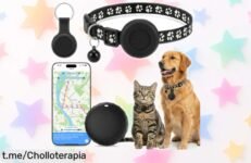 Localizador GPS para perros y gatos sin cuotas, resistente al agua y con batería de un año: sigue a tu mascota en vivo ¡Aprovecha este super chollo antes que se agote!