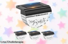 Luces solares para jardín Auting, pack de 4 a precio loco: ilumina tu hogar con calidez y sorprende a todos sin que te cueste un dineral. ¡Aprovecha este super chollo ya!