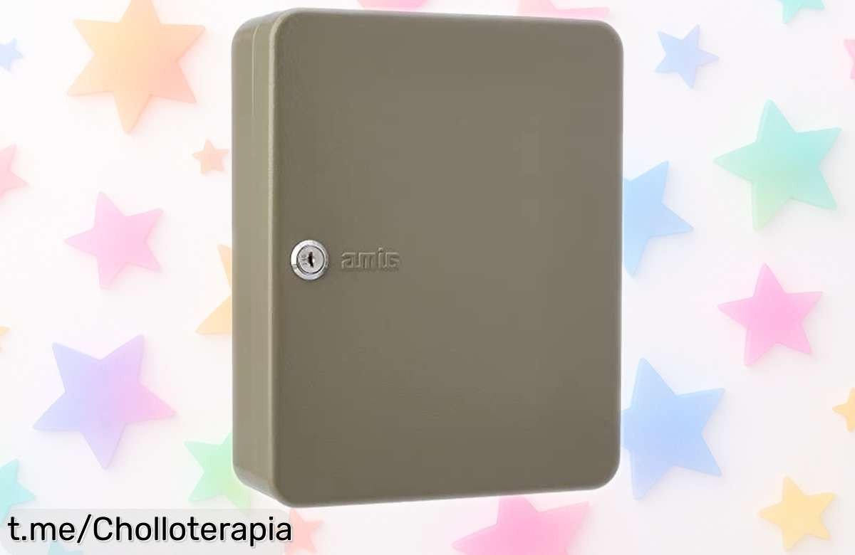Organiza tus llaves con estilo: Caja portallaves Amig Mod.2172 de acero gris, cerradura segura y hasta 93 llaves, ¡ahora a un precio que vuela!