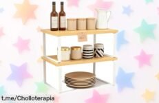 Organizador de especias extensible Ribech 2 en 1 para tu cocina y baño a un precio loco, ¡di adiós al desorden y dale la bienvenida al orden fácil ya!