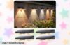Pack de 4 luces solares Qoosea para pared, iluminan tu jardín con estilo y han bajado de precio: ¡la oportunidad que no puedes dejar pasar!