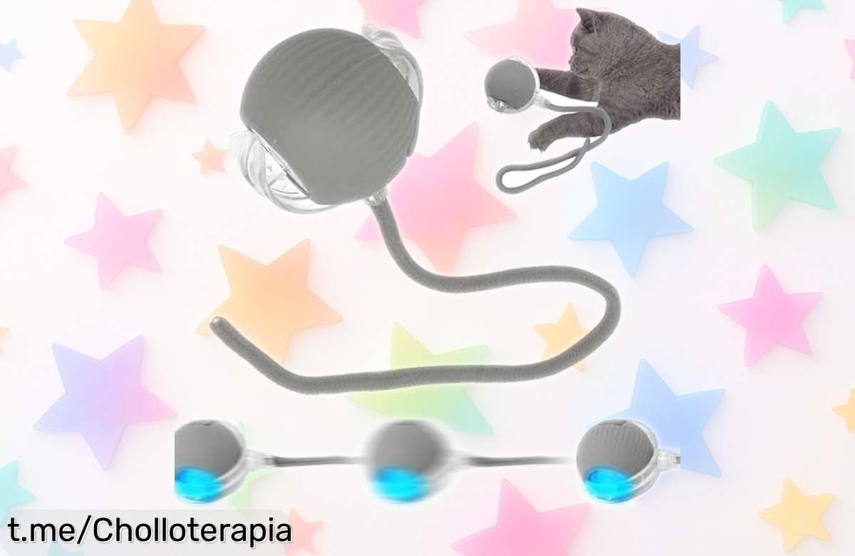 Pelota interactiva SORNEICDR que se mueve sola y asegura horas de diversión para tu peludo, ¡aprovecha este precio de escándalo antes que se acabe!