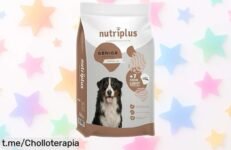 Pienso para perros NUTRIPLUS, por un precio increíble que cuida su peso y articulaciones. ¡Aprovecha este ofertón y haz feliz a tu peludo hoy mismo!