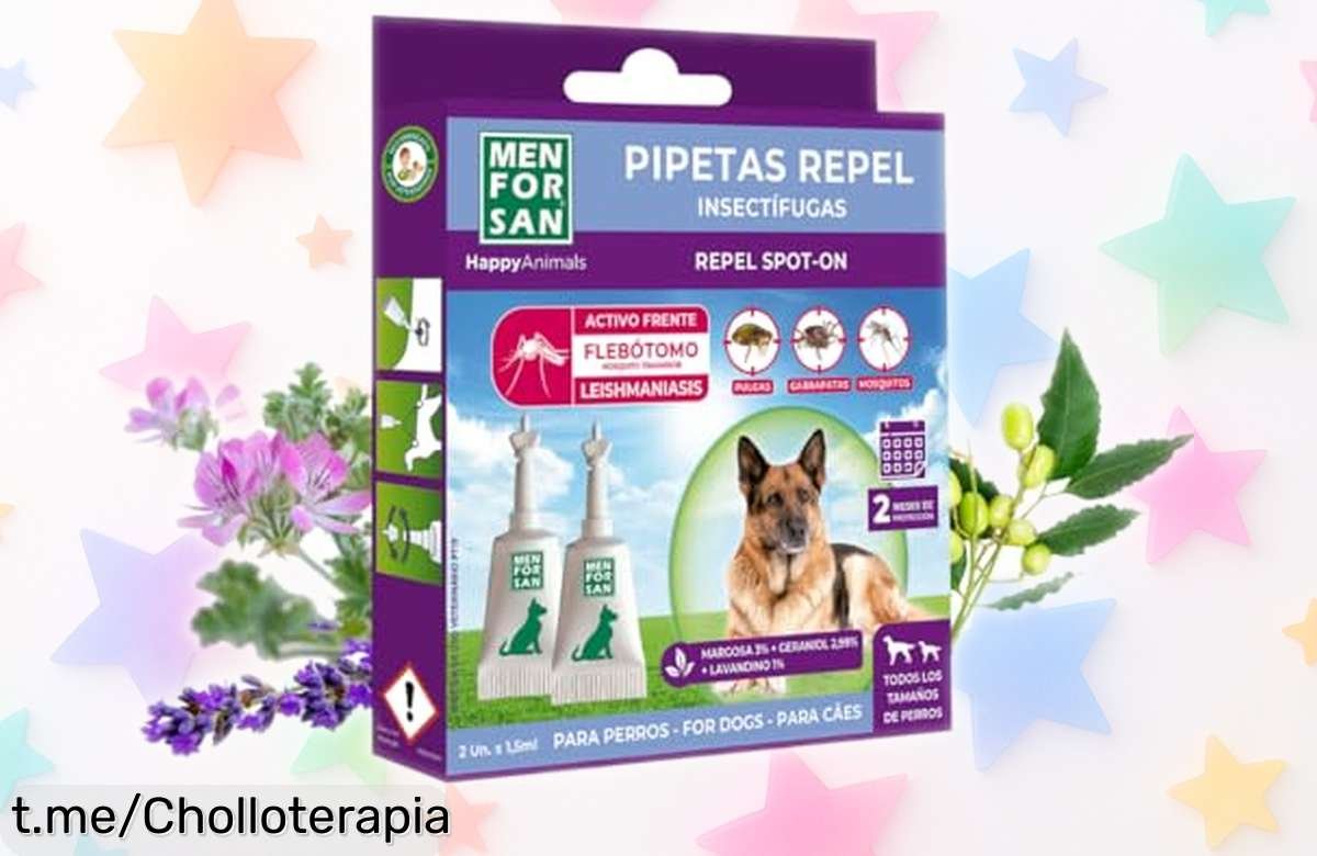 Pipetas antiinsectos Menforsan para perros que funcionan de verdad a un precio regalado, cuida a tu peludo sin complicaciones y aprovecha este chollazo antes de quedarte sin ellas.