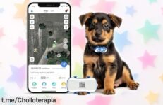 Rastreador GPS 4G para perros y gatos: cuida a tu mascota como nunca con este ofertón de increíble precio, ¡no dejes que se te escape esta oportunidad única!