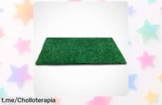 Rollo de césped artificial de 7 mm, la solución ideal para tu jardín o terraza. ¡Aprovecha este ofertón a precio tirado y disfruta al máximo sin preocupaciones!