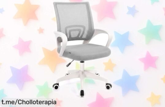 Silla de escritorio ergonómica Duehome Nika: respaldo transpirable, ruedas 360° y altura ajustable a un precio increíble. ¡Transforma tu rincón de trabajo antes que se agote!