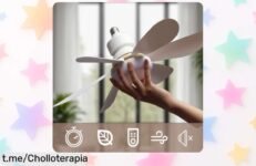 Ventilador de techo con luz LED y mando regulable, un ofertón que transforma tu hogar al mejor precio del mercado ¡No te lo pierdas!
