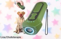 Ahuyentador de perros ultrasónico recargable, frena ladridos y saltos sin contacto: aprovecha este ofertón a un precio de ganga que transforma la educación canina. ¡No te lo pierdas!