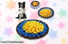 Alfombra olfativa AYESY para perros, el super chollo que hará disfrutar a tu peludo mientras se divierte buscando premios. ¡No dejes pasar esta oportunidad única y hazlo feliz hoy!