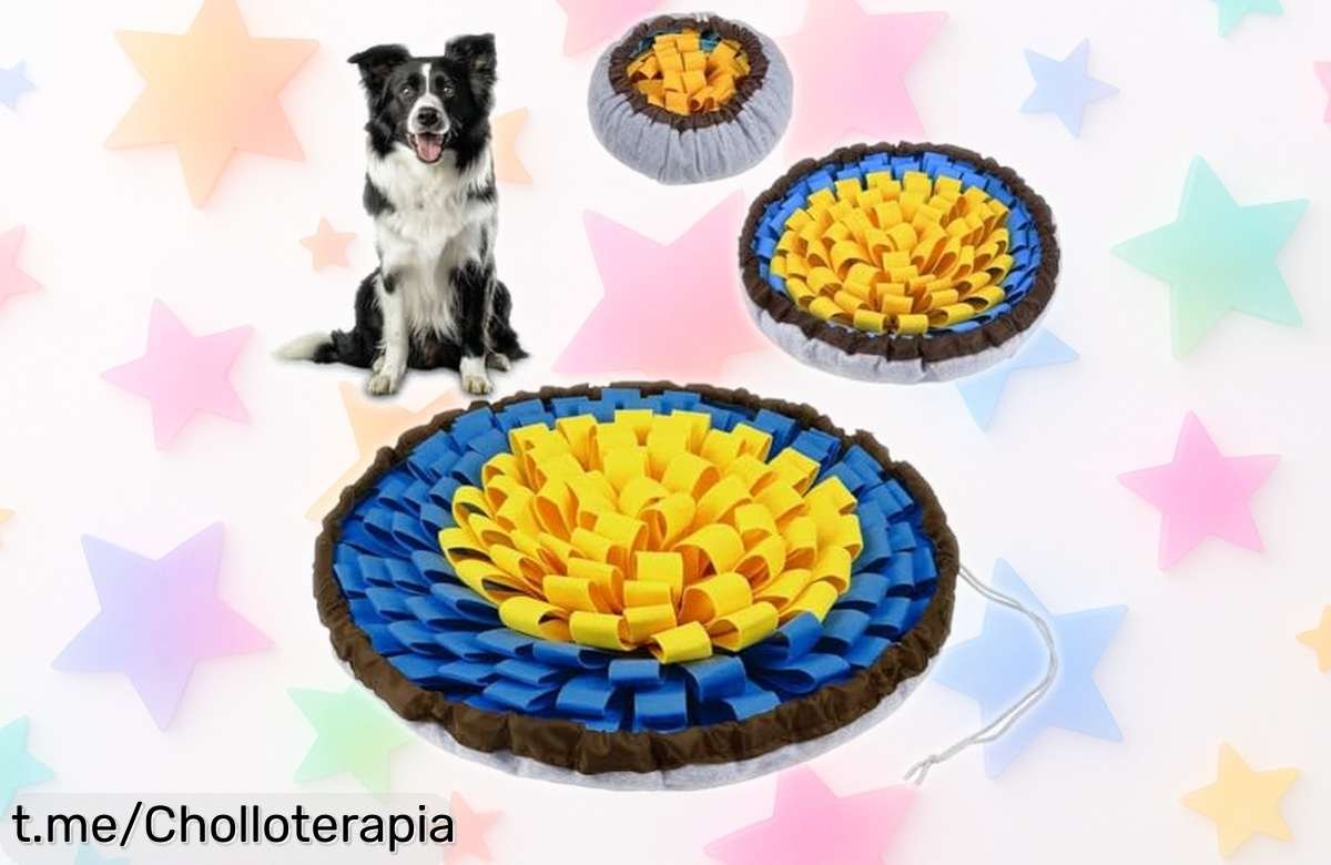 Alfombra olfativa AYESY para perros, el super chollo que hará disfrutar a tu peludo mientras se divierte buscando premios. ¡No dejes pasar esta oportunidad única y hazlo feliz hoy!
