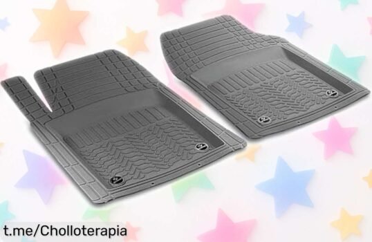 Alfombrillas de goma antideslizantes BREMER SITZBEZÜGE para Lexus NX 1 a precio loco, ideales para el clima y sin olores; protege tu coche y siente la diferencia hoy mismo.
