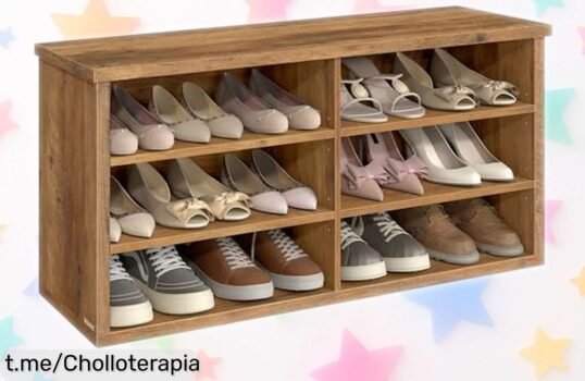 Banco zapatero con asiento VASAGLE, ¡aprovecha el super chollo que te ayudará a mantener tu entrada ordenada y bonita! Solo hoy, no dejes escapar esta oportunidad única.