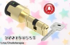 Bombín para puerta con alarma LINCE CPLUS ALARM: Seguridad extra que tu hogar necesita a un precio de escándalo, no te quedes sin él y protege lo que más quieres ahora mismo.