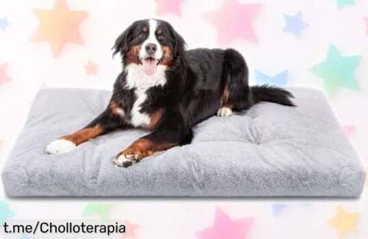 Cama XXL para perros grandes Nobleza, perfecta para cuidar a tu mejor amigo: mullida, suave y con funda lavable… ¡aprovecha este chollazo que hará felices a mascotas y dueños!
