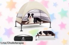 Cama elevada para perros con techo plegable, ideal para que tu fiel amigo descanse al aire libre; ¡aprovecha este chollazo y cuídalo del sol y la lluvia!