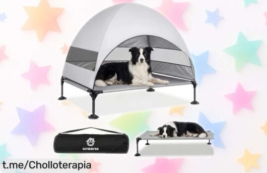 Cama elevada para perros con techo que se monta en 10 minutos, ideal para jardín o playa: tu compañero descansará feliz bajo el sol y la lluvia. ¡No dejes pasar esta oferta increíble!