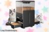 Comedero automático doble para gatos Cityflee: la solución ideal que reducirá tu estrés y hará que tus felinos estén felices con este rebajón impresionante. ¡Consíguelo ya!