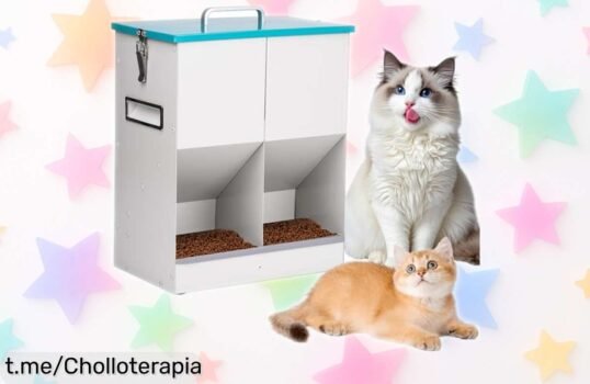 Comedero automático para gatos y perros pequeños MUYIRTED, perfecto para despreocuparte de alimentar a tu peludo ¡Aprovecha este super chollo antes que se acabe!