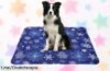 Descubre la alfombrilla refrescante OYIWINMI para tus mascotas, ideal para que estén fresquitos este verano a un precio de ganga que no puedes dejar escapar.
