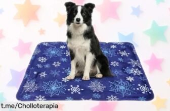 Descubre la alfombrilla refrescante OYIWINMI para tus mascotas, ideal para que estén fresquitos este verano a un precio de ganga que no puedes dejar escapar.