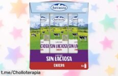 Descubre la deliciosa leche entera sin lactosa CLA en pack de 6 briks, ¡con vitaminas y minerales! Llévatela a casa a un precio de escándalo antes que se acabe.