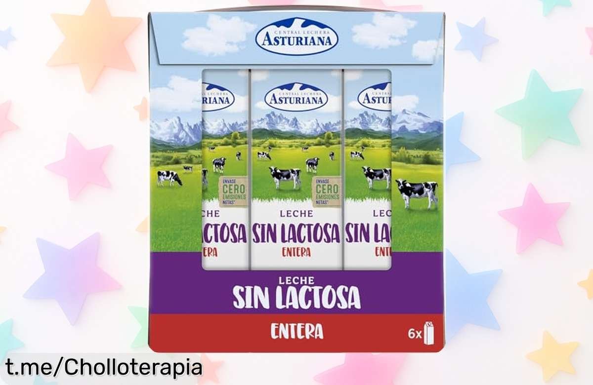 Descubre la deliciosa leche entera sin lactosa CLA en pack de 6 briks, ¡con vitaminas y minerales! Llévatela a casa a un precio de escándalo antes que se acabe.