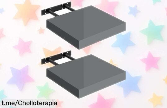 Descubre la estantería flotante de pared WOLTU, el penúltimo grito en orden y elegancia con fijación oculta: ¡aprovéchala al precio de ganga que no se repetirá!