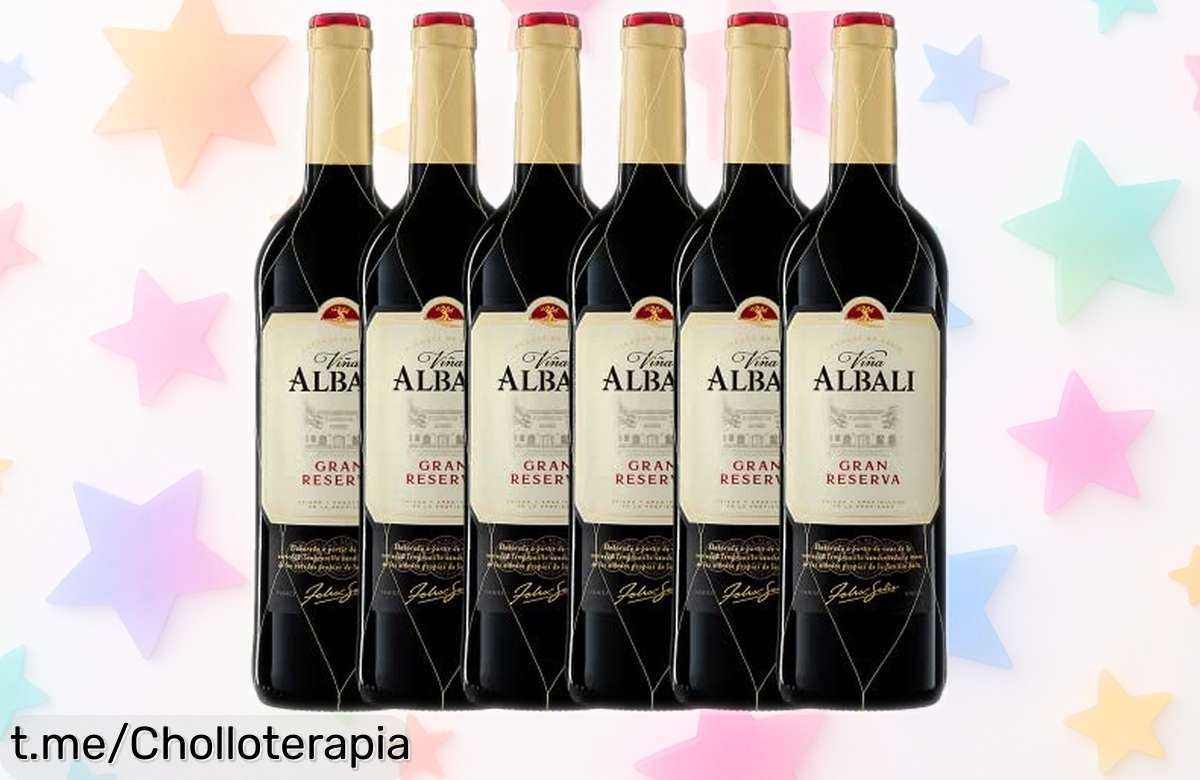Disfruta de un vino tinto Gran Reserva Viña Albali en pack de 6 botellas a precio loco, ideal para tus mejores momentos y comidas especiales. ¡No dejes escapar esta oportunidad!