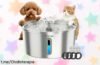 Fuente para gatos Invengo de acero inoxidable a precio rebajado: agua fresca al instante y boquilla de flor que hará feliz a tu peludo amigo. ¡No dejes pasar esta oportunidad única!