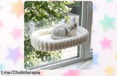 Hamaca plegable para gatos Everkeen: sensación de relax y diversión a un precio de ganga, ¡aprovecha esta oferta limitada que hará feliz a tu gatito!
