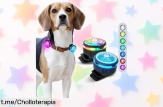 Ilumina las noches con el pack de 2 luces LED PAJ 2X y siente la tranquilidad de ver a tu perro en cualquier momento, ¡no te quedes sin ellas!