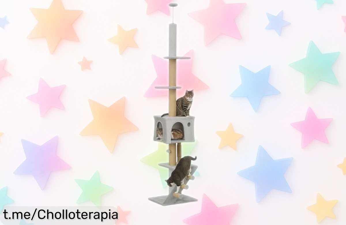 Impresionante árbol para gatos PawHut de suelo a techo, ajustable y lleno de diversión; aprovecha el chollazo con cupón ¡Tus gatos se lo merecen!