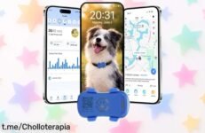 Localizador GPS 4G para perros: tranquilidad total con alertas y resistencia al agua, ¡aprovecha ahora este chollazo que no durará!