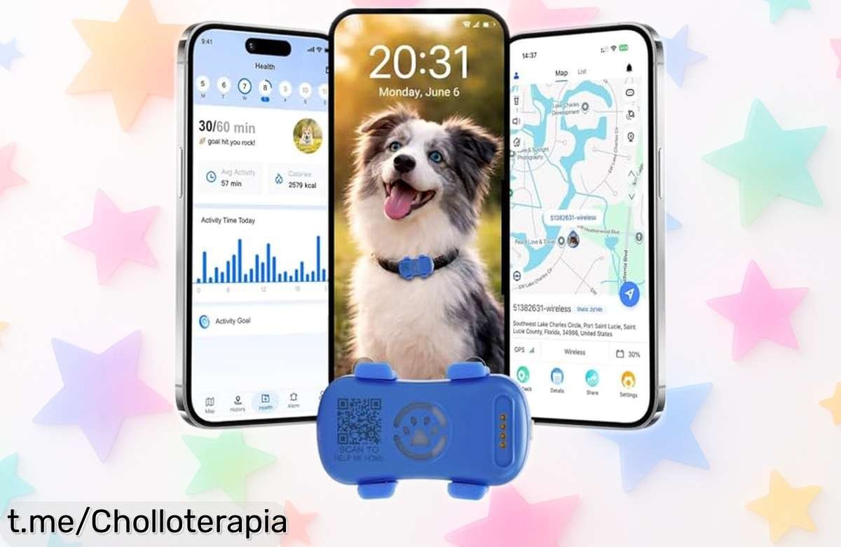 Localizador GPS 4G para perros: tranquilidad total con alertas y resistencia al agua, ¡aprovecha ahora este chollazo que no durará!