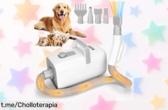 Secador para perros profesional Nobleza Pet Blower 2000W, ¡un ofertón silencioso que hará sonreír a tu peludo! Aprovecha esta caída de precio y dale ese estilo en casa o peluquería.