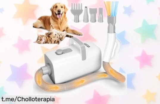 Secador para perros profesional Nobleza Pet Blower 2000W, ¡un ofertón silencioso que hará sonreír a tu peludo! Aprovecha esta caída de precio y dale ese estilo en casa o peluquería.