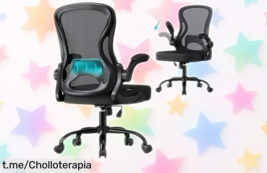 Silla de oficina ergonómica SONGMICS con soporte lumbar y reposabrazos abatibles, ¡rebajada a un precio increíble! Tu comodidad en el trabajo nunca fue tan accesible.