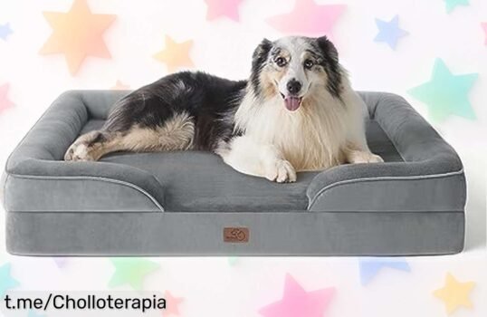 Sofá cama ortopédico para perros grandes Bedsure a precio de ganga, ¡regálale el descanso que se merece y ve cómo duerme como un rey!