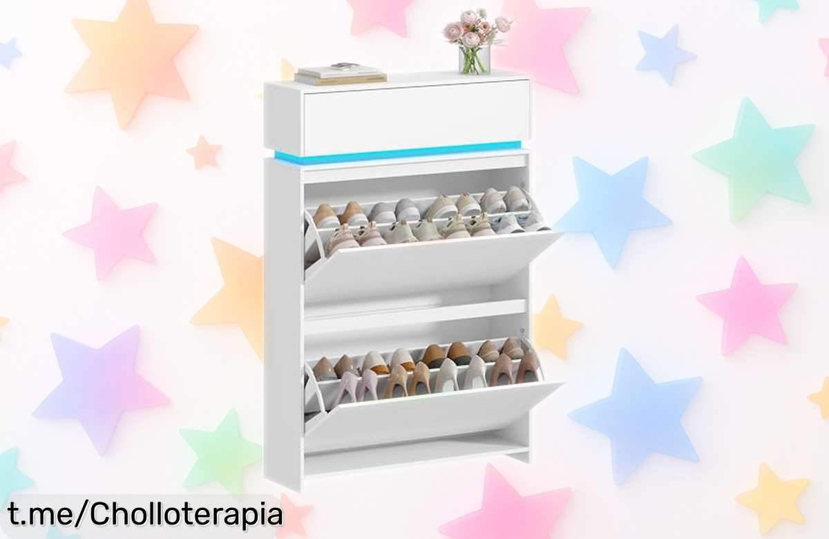 Armario organizador de zapatos Hzuaneri con luces LED y 4 niveles para hasta 20 pares, un ofertón que te pone orden en casa ¡No dejes escapar esta oportunidad!