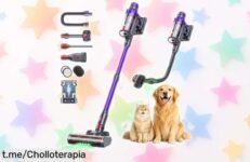 Aspiradora sin cable 55KPA/650W con cepillo para pelos de mascota a precio increíble: transforma tu hogar en un lugar fresco y limpio, ¡aprovéchalo antes que se agote!