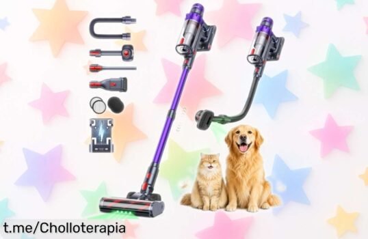 Aspiradora sin cable 55KPA/650W con cepillo para pelos de mascota a precio increíble: transforma tu hogar en un lugar fresco y limpio, ¡aprovéchalo antes que se agote!