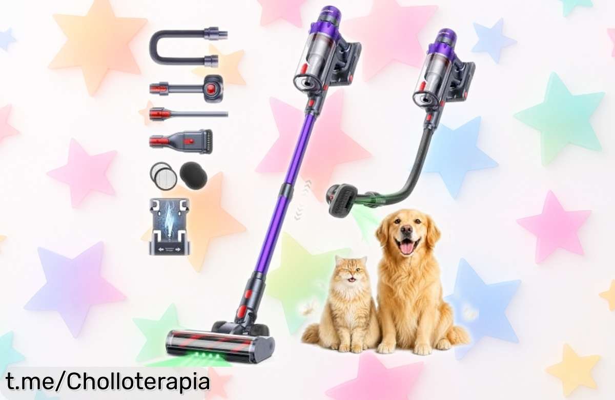 Aspiradora sin cable 55KPA/650W con cepillo para pelos de mascota a precio increíble: transforma tu hogar en un lugar fresco y limpio, ¡aprovéchalo antes que se agote!