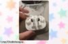 Auriculares inalámbricos Nothing Ear (a) con cancelación de ruido a precio de risa, déjate llevar por la música y olvida las distracciones, ¡hazte ya con ellos antes que se agoten!